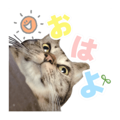 [LINEスタンプ] 麦茶くんスタンプ2！！