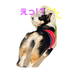 [LINEスタンプ] ココツムライandふわり