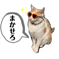 [LINEスタンプ] じんたん＆オモにゃん