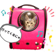 [LINEスタンプ] SILVAすたんぷ