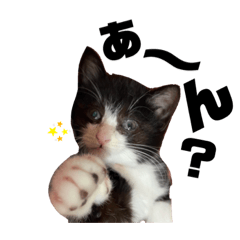 [LINEスタンプ] おもちーちゃん