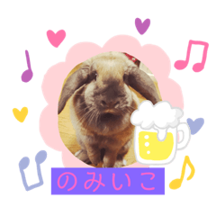 [LINEスタンプ] ぶぅこのスタンプ