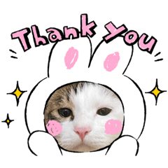 [LINEスタンプ] k♡g♡t