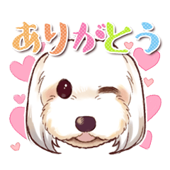 [LINEスタンプ] マルックスわんこ☆モッペルのスタンプ