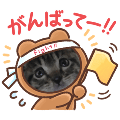 [LINEスタンプ] 烏骨鶏ピ〜ちゃんズ＆猫ちゃんズ