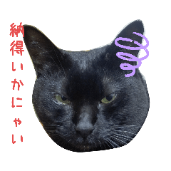 [LINEスタンプ] ルシ子のスタンプ に