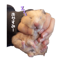 [LINEスタンプ] むたむたの日常