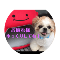 [LINEスタンプ] 毎日まるポン