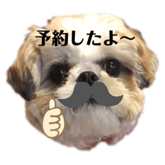 [LINEスタンプ] 日々まるちゃん10
