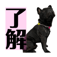[LINEスタンプ] うちのバイエス2