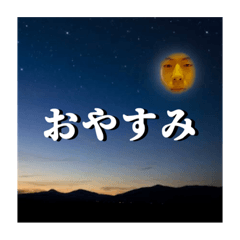 [LINEスタンプ] コシリキッシュに若葉を添えて，