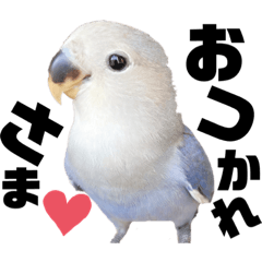 [LINEスタンプ] 癒しすいちゃん( ´ ▽ ` )