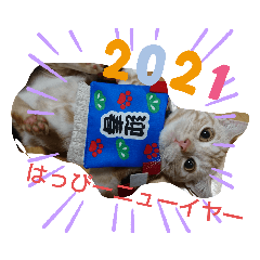 [LINEスタンプ] みるくここあ！のスタンプ3