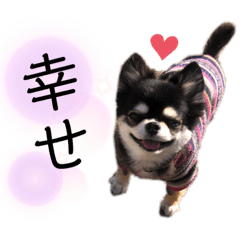 [LINEスタンプ] わたしヒメちゃん