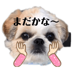 [LINEスタンプ] 日々まるちゃん15
