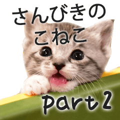 [LINEスタンプ] さんびきのこねこ その2