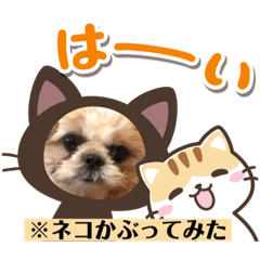 [LINEスタンプ] 日々まるちゃん14
