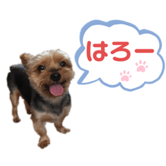 [LINEスタンプ] うちの殿君3