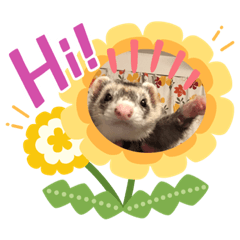 [LINEスタンプ] ぺっとすたんぷ_その4