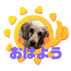 [LINEスタンプ] コッカーパラダイス