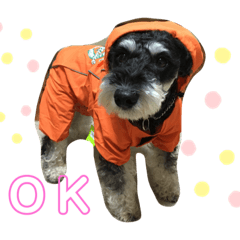 [LINEスタンプ] びびと、ゆかいな仲間たち
