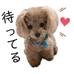 [LINEスタンプ] ぼくノアくん