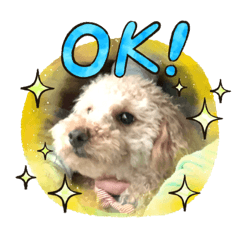 [LINEスタンプ] ももちゃん 1