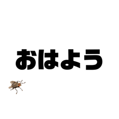 [LINEスタンプ] ドッキリです。