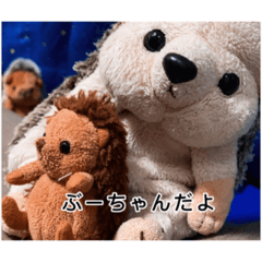 [LINEスタンプ] ハリネズミのぶーちゃん