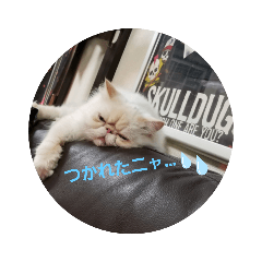 [LINEスタンプ] かぶき氏の暮らし
