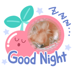 [LINEスタンプ] コロりんのスタンプ