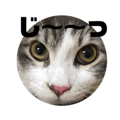 [LINEスタンプ] ノルウェージャンのエル③