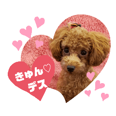 [LINEスタンプ] ここたスタンプ色々