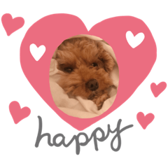[LINEスタンプ] パピ！ ときどきりょーま