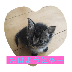 [LINEスタンプ] チャット1