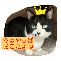 [LINEスタンプ] はちわれ日和＊なな3＊