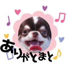[LINEスタンプ] とまとと愉快な仲間たち