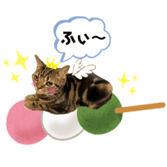 [LINEスタンプ] うちの(ネ)コ