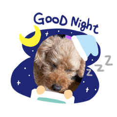 [LINEスタンプ] いとしのクロス