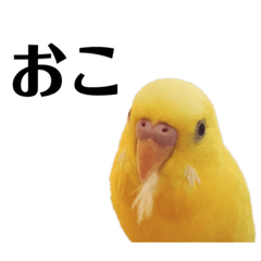 [LINEスタンプ] zunずん