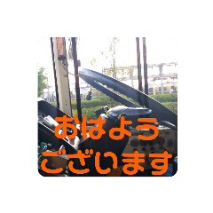 [LINEスタンプ] ご  挨  拶