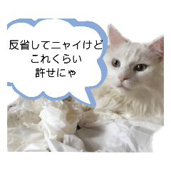 [LINEスタンプ] 我が家の猫②