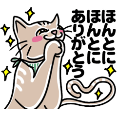 [LINEスタンプ] 猫のマイケルと仲間たち毎日使える日常言葉