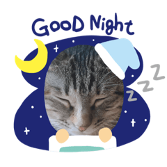 [LINEスタンプ] よもぎねこスタンプ2