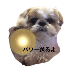 [LINEスタンプ] 日々まるちゃん16