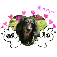 [LINEスタンプ] そらの日常 part2