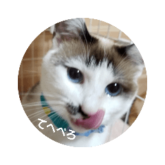 [LINEスタンプ] 仙台にゃんこ城 にゃらver.