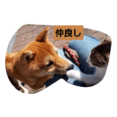 [LINEスタンプ] 可愛いゆきの