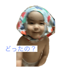 [LINEスタンプ] こんこんだよー