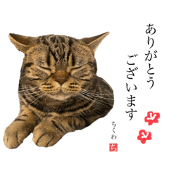 [LINEスタンプ] ちくわさんの敬語スタンプ